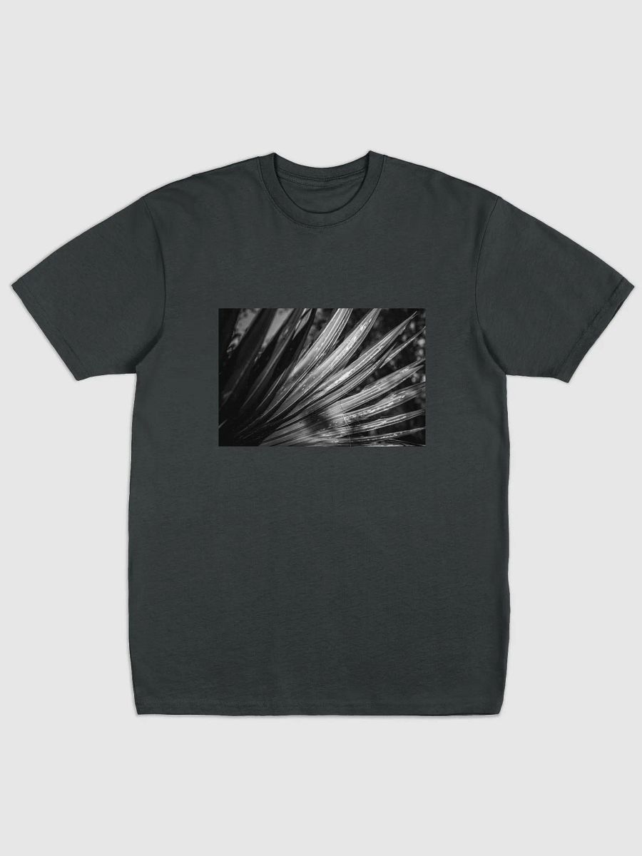 TEE BW3 - Southern Louisiana Series product image (1)