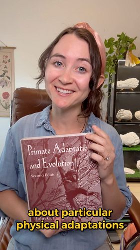 Taking time to dive into the world of primatology has been one of my favorite ways to learn about sasquatches. Particular det...