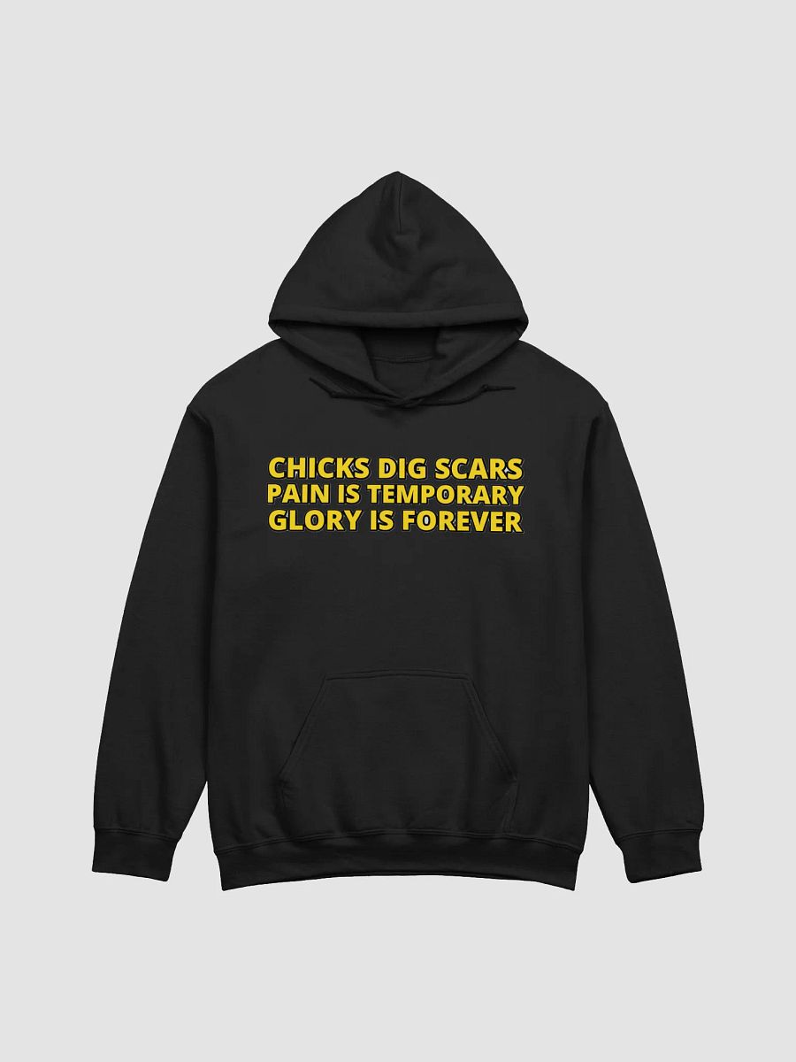 CHICKS DIG SCARS, PAIN IS TEMPORARY, GLORY IS FOREVER product image (12)