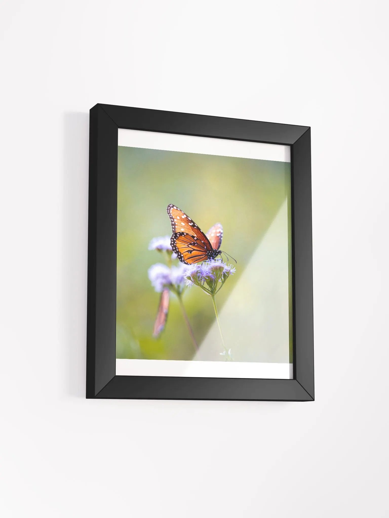 Butterfly In Light product image (15)