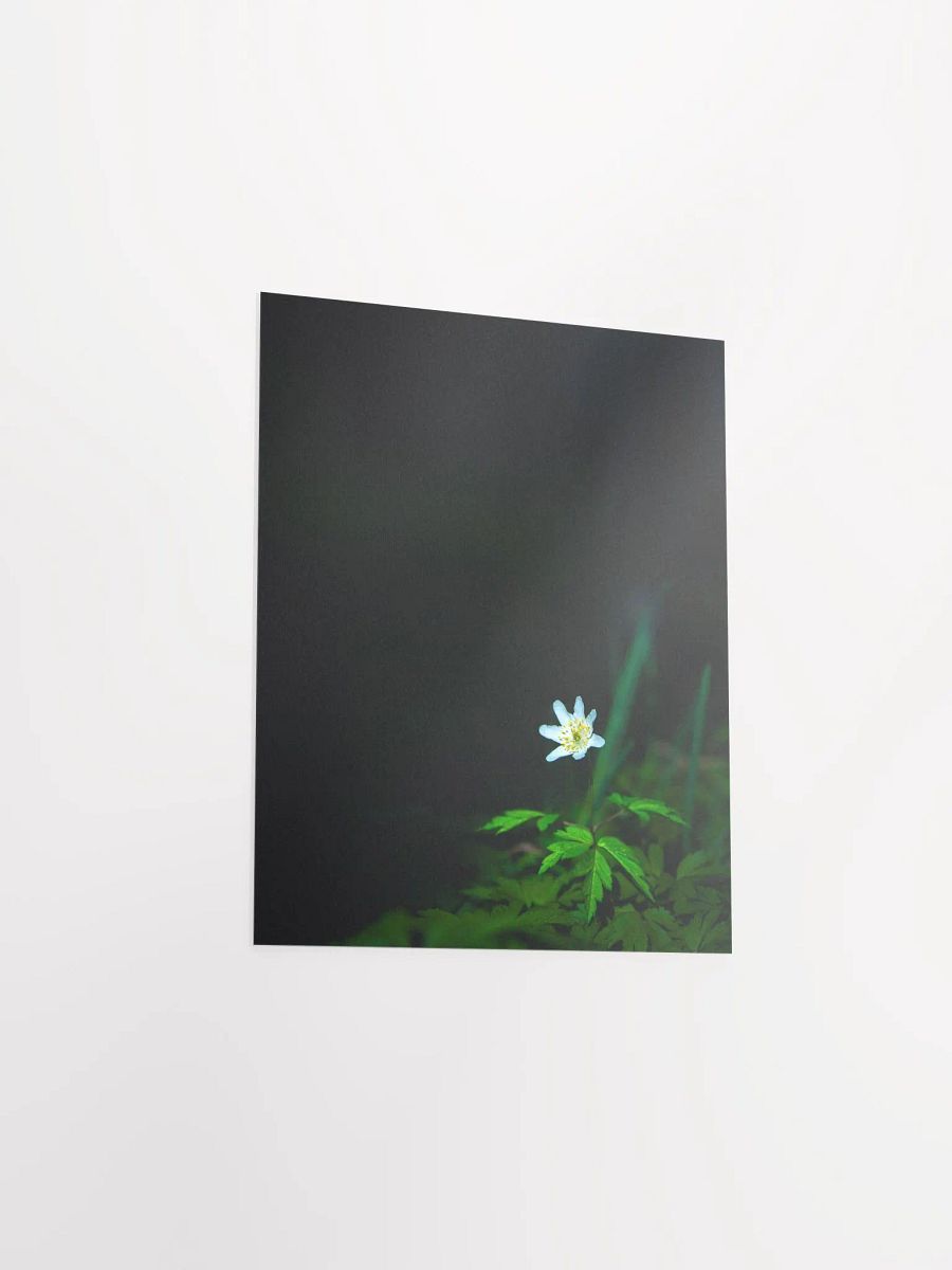 Alone in the dark product image (8)