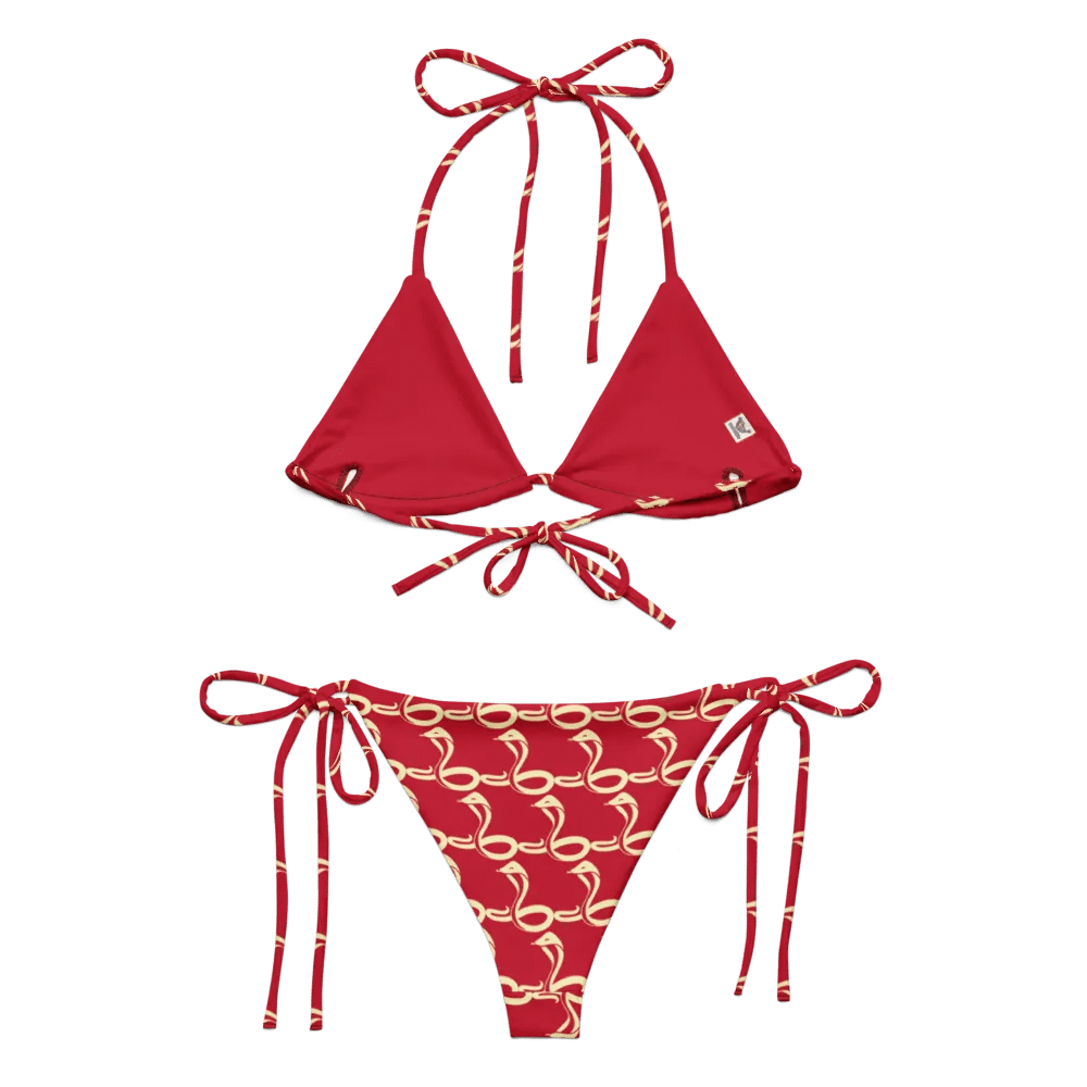 Snake Song Recycled Bikini Set product image (1)