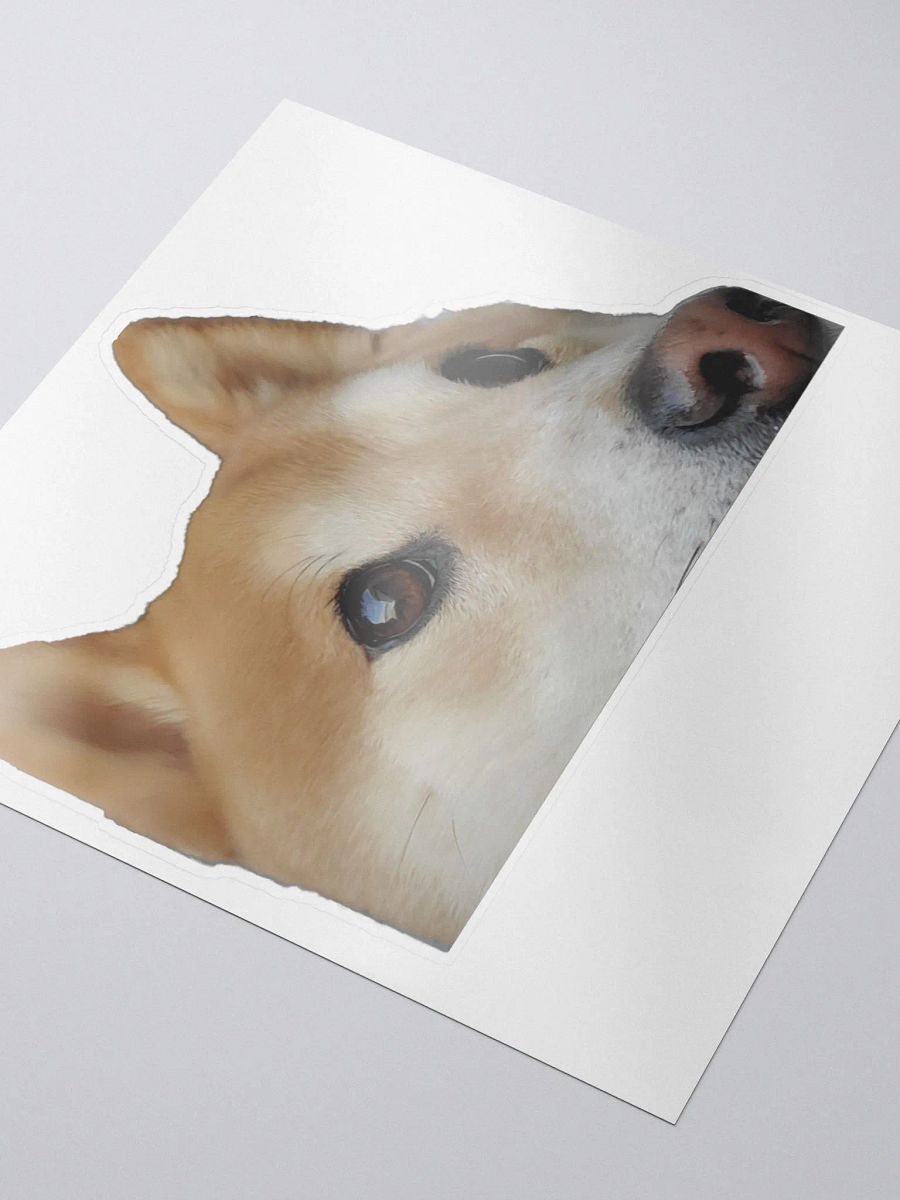 Dandelion Peek (Sticker) product image (3)