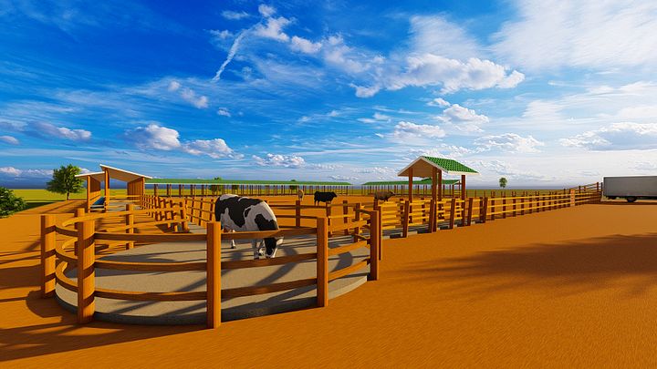 1000 Bulls Feedlot Design Plan product image (1)