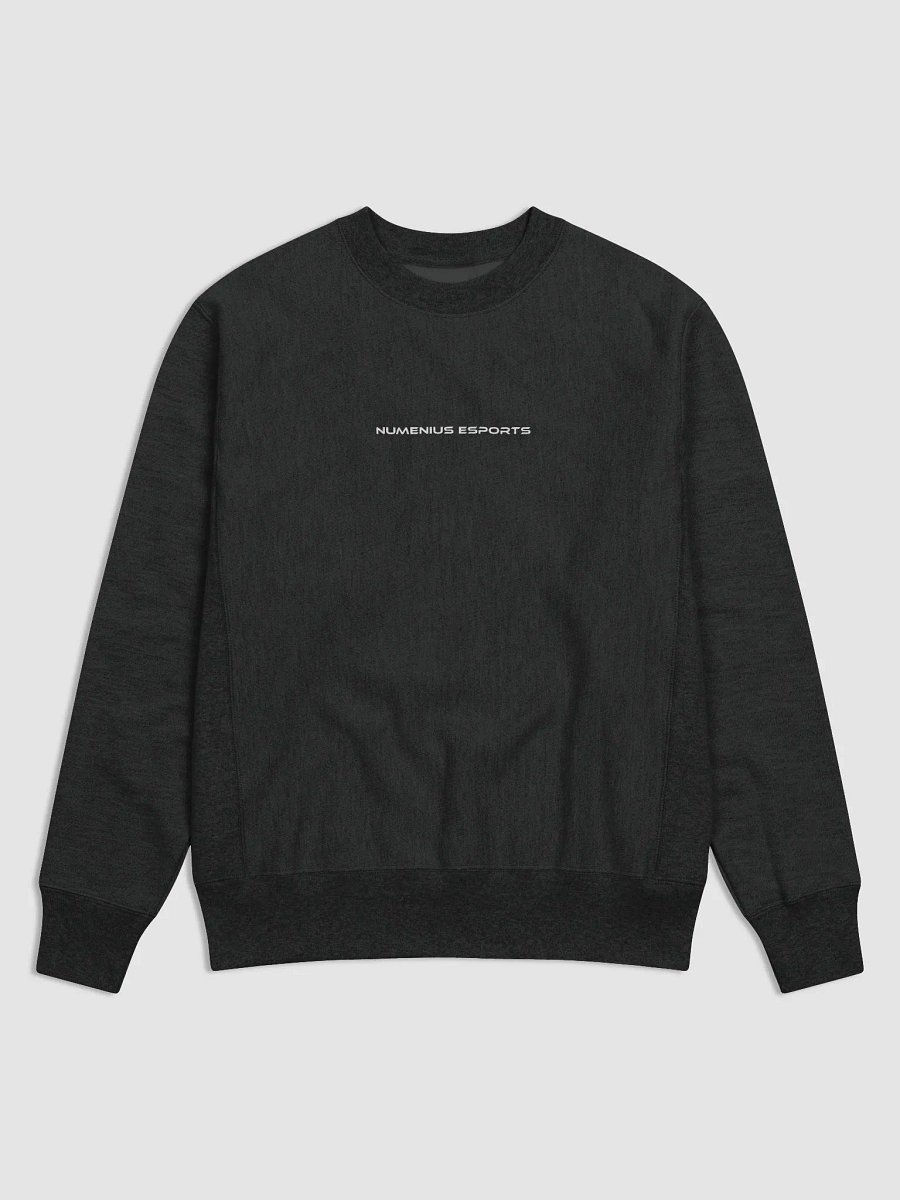 Team Meridian Sweater product image (1)