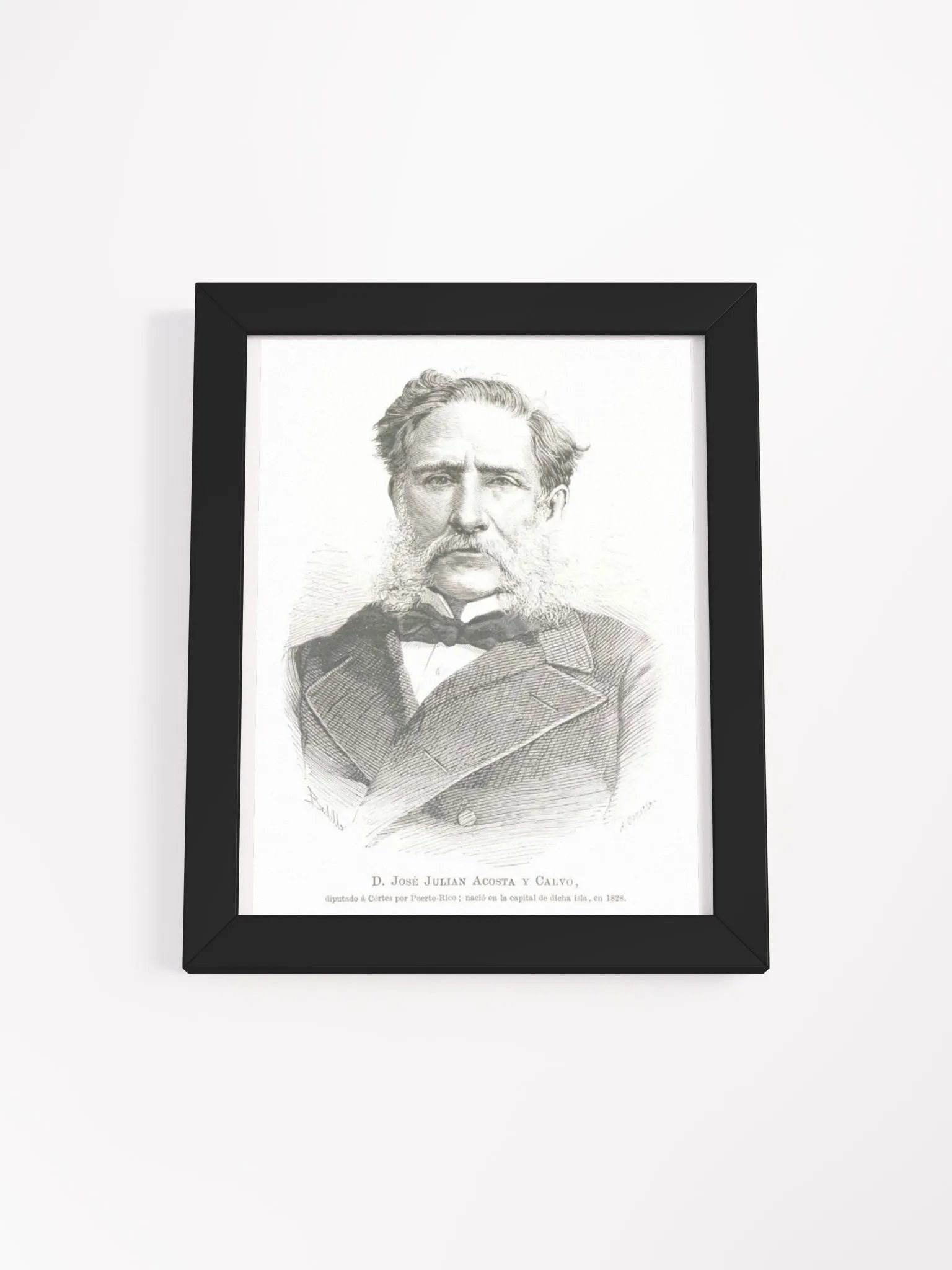 Cuadro - José Julián Acosta y Calvo: Diputado Provincia de Puerto Rico product image (1)