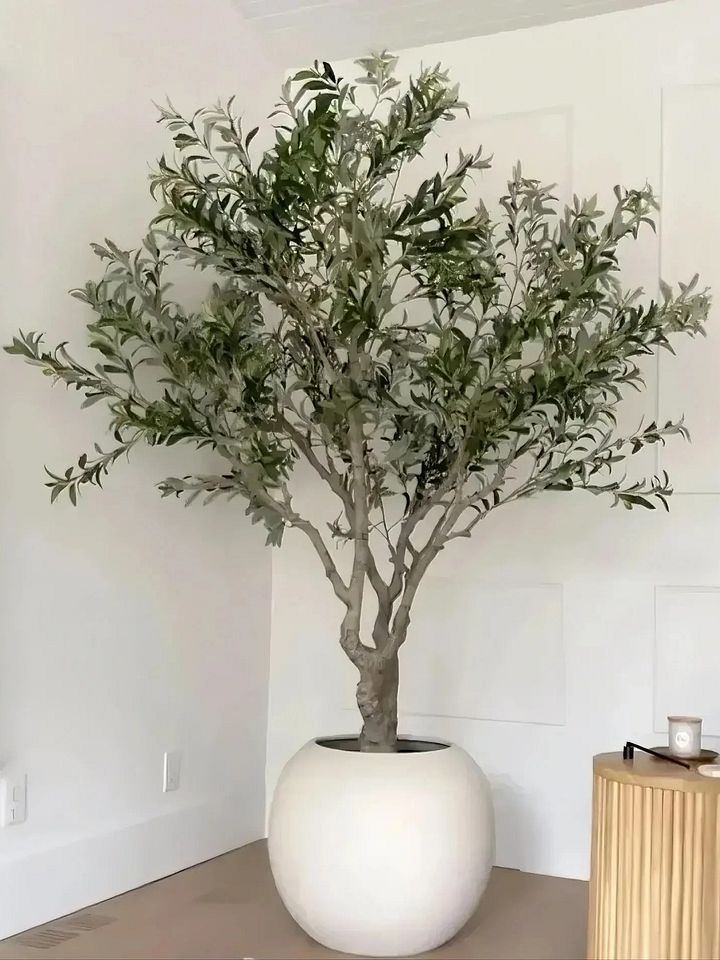 90cm 120cm 150cm 180cm 210cm 240cm Plastic Potted Plants Faux Indoor Decoration Artificial Olive Tree product image (2)
