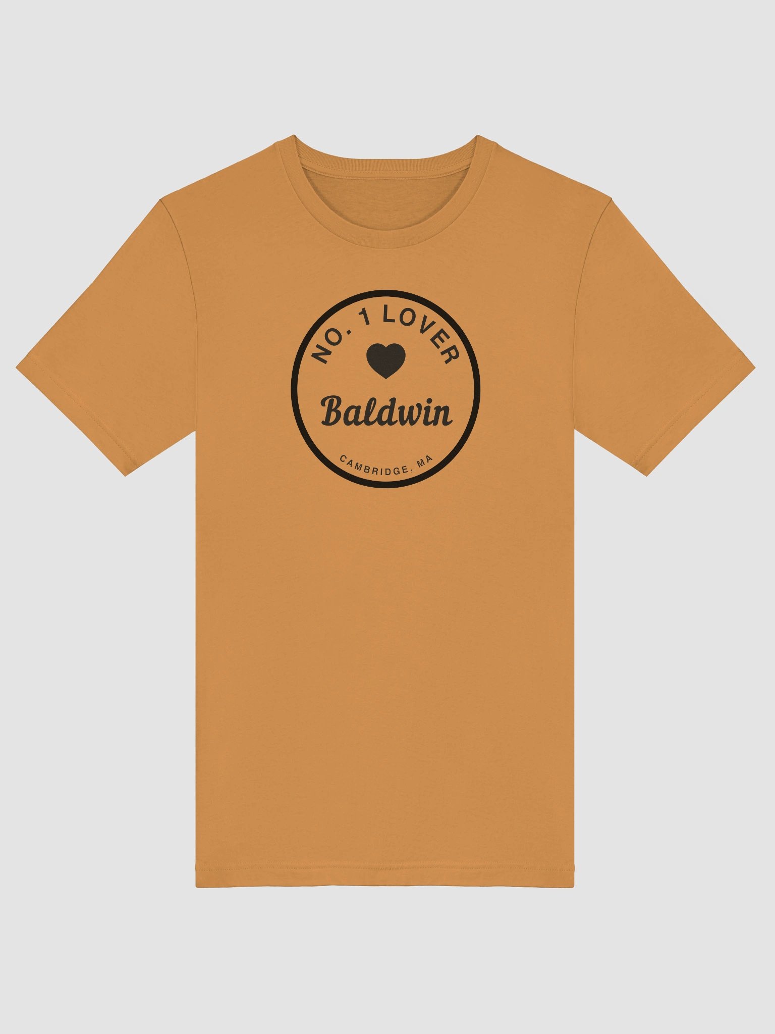 Baldwin, Cambridge, MA Supporter T-Shirt - Unisex Sizes Bella+Canvas product image (29)