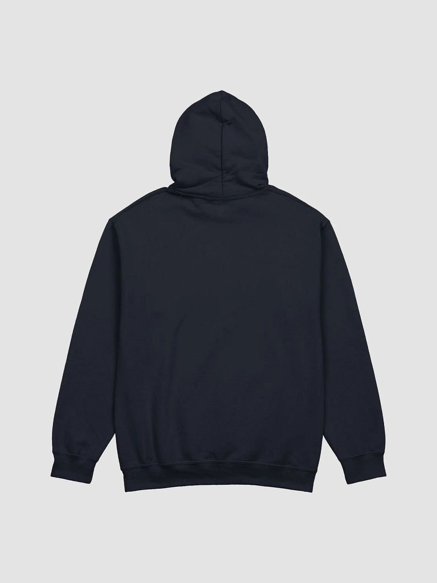 Healthcare Heroes' Motto Hoodie product image (29)