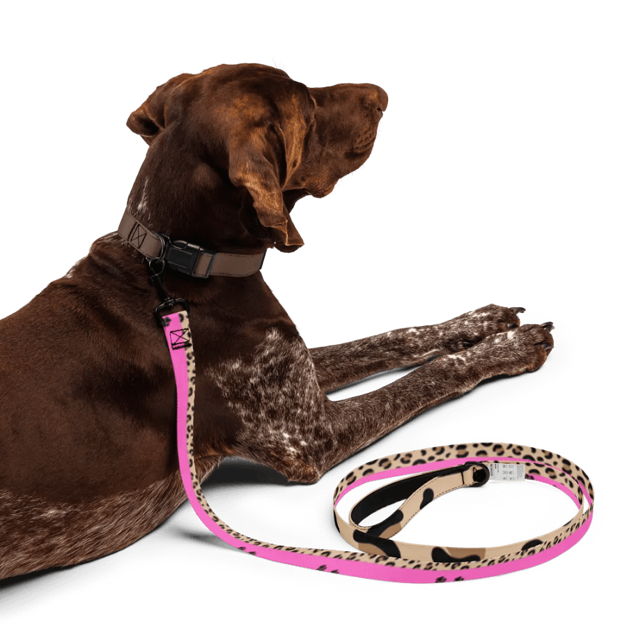 Psychedelic Leopard and Paw Print Pet Leash - Customizable Design product image (5)