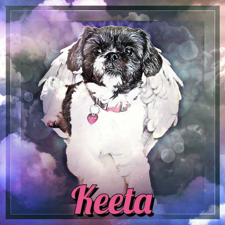 Keeta Beat product image (1)