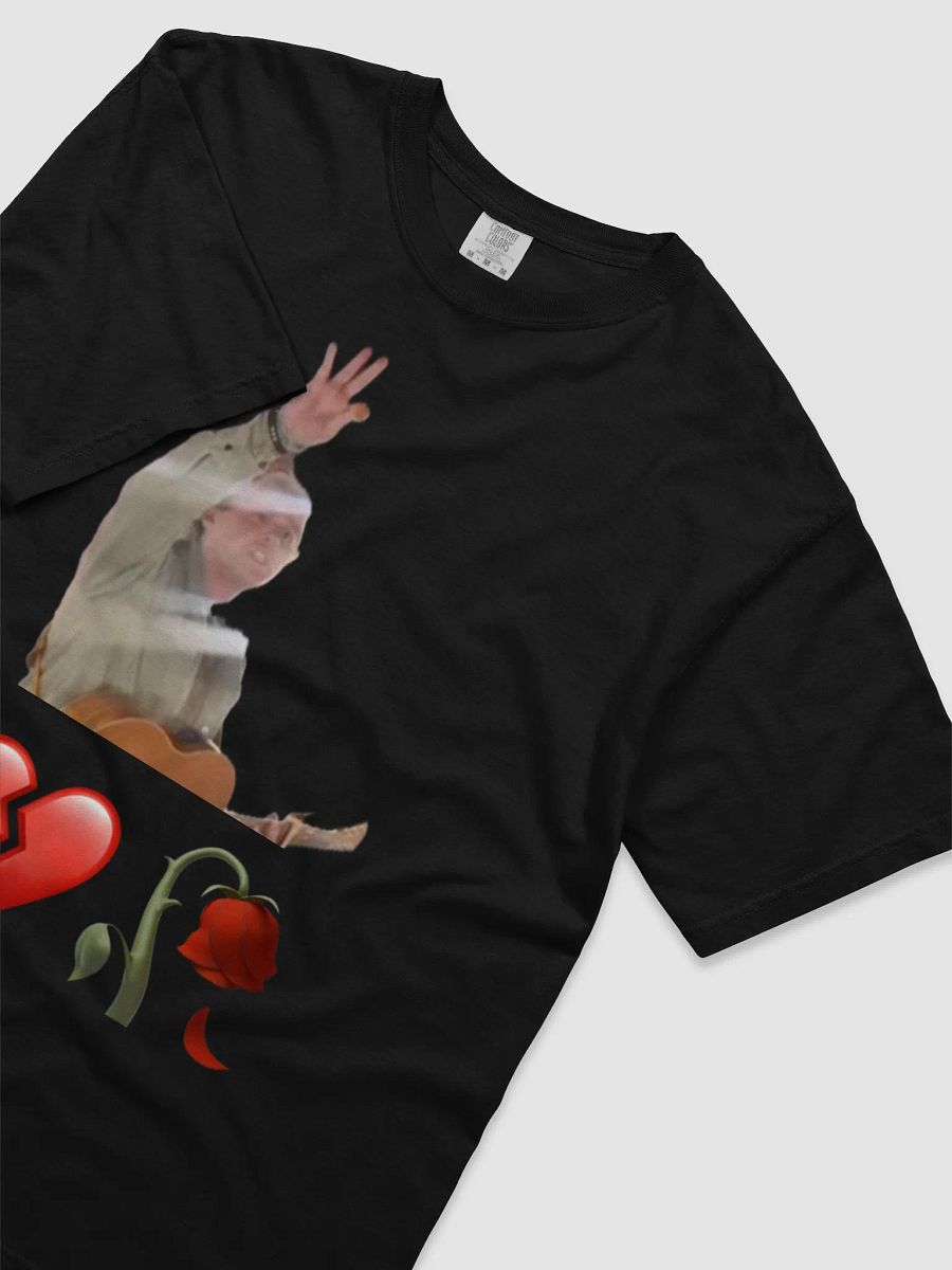 LIVING THE AMERICAN DREAM T-SHIRT product image (14)
