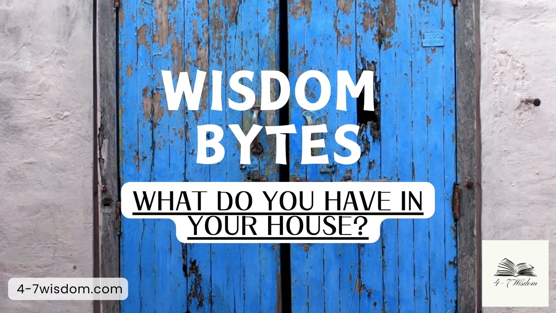 Wisdom Bytes: What do you have in your house? product image (1)