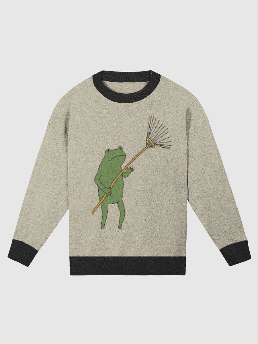 (FROG is going to live now with RAKE) - SECRET SWEATER product image (1)