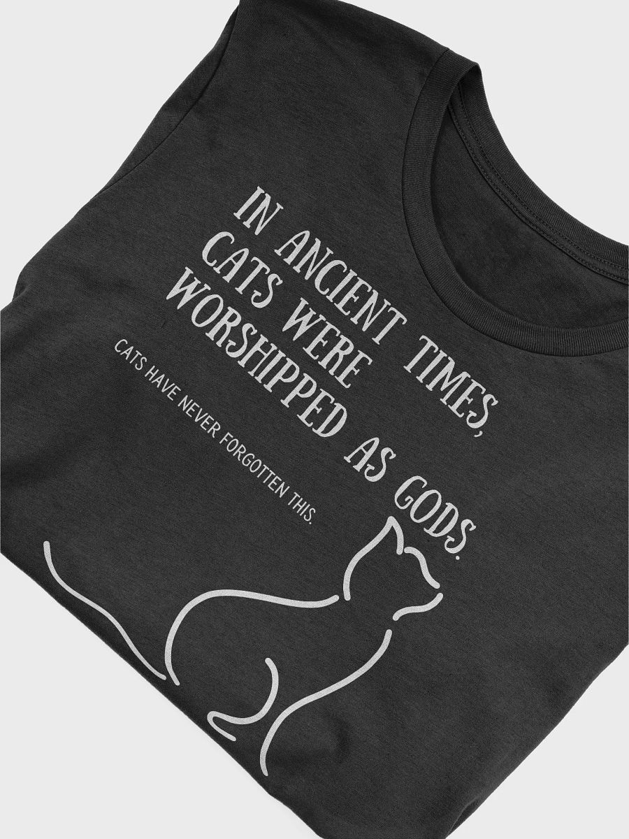 In ancient times, cats were worshipped as gods product image (5)