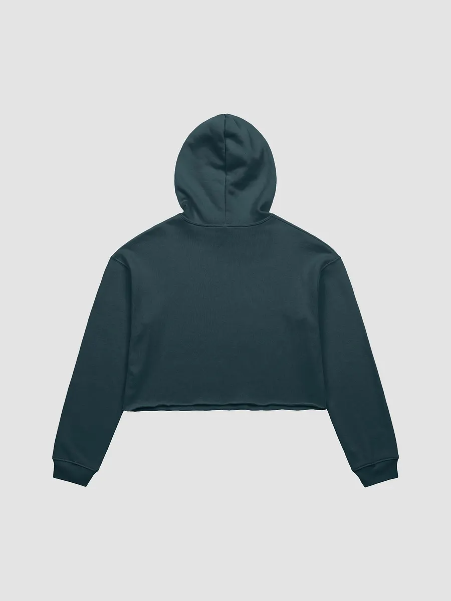DTK 70's Logo Crop Top Sweatshirt! product image (11)