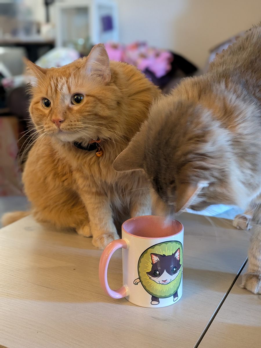 Kiwi Kiwi Mug! product image (4)