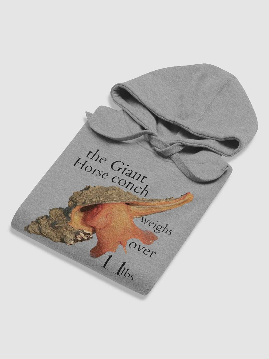 Horse Conch product image (35)