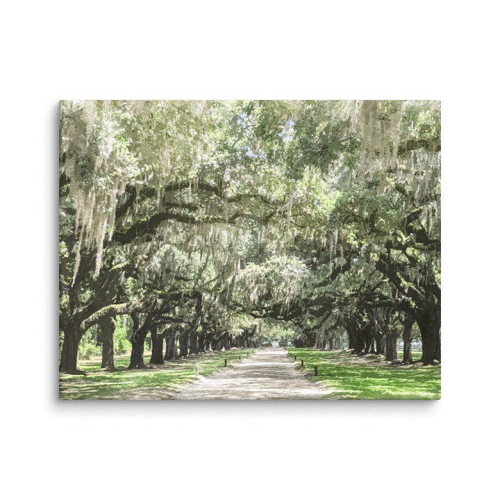 Avenue of the Oaks, Boone Hall Plantation Watercolor Canvas Print product image (2)
