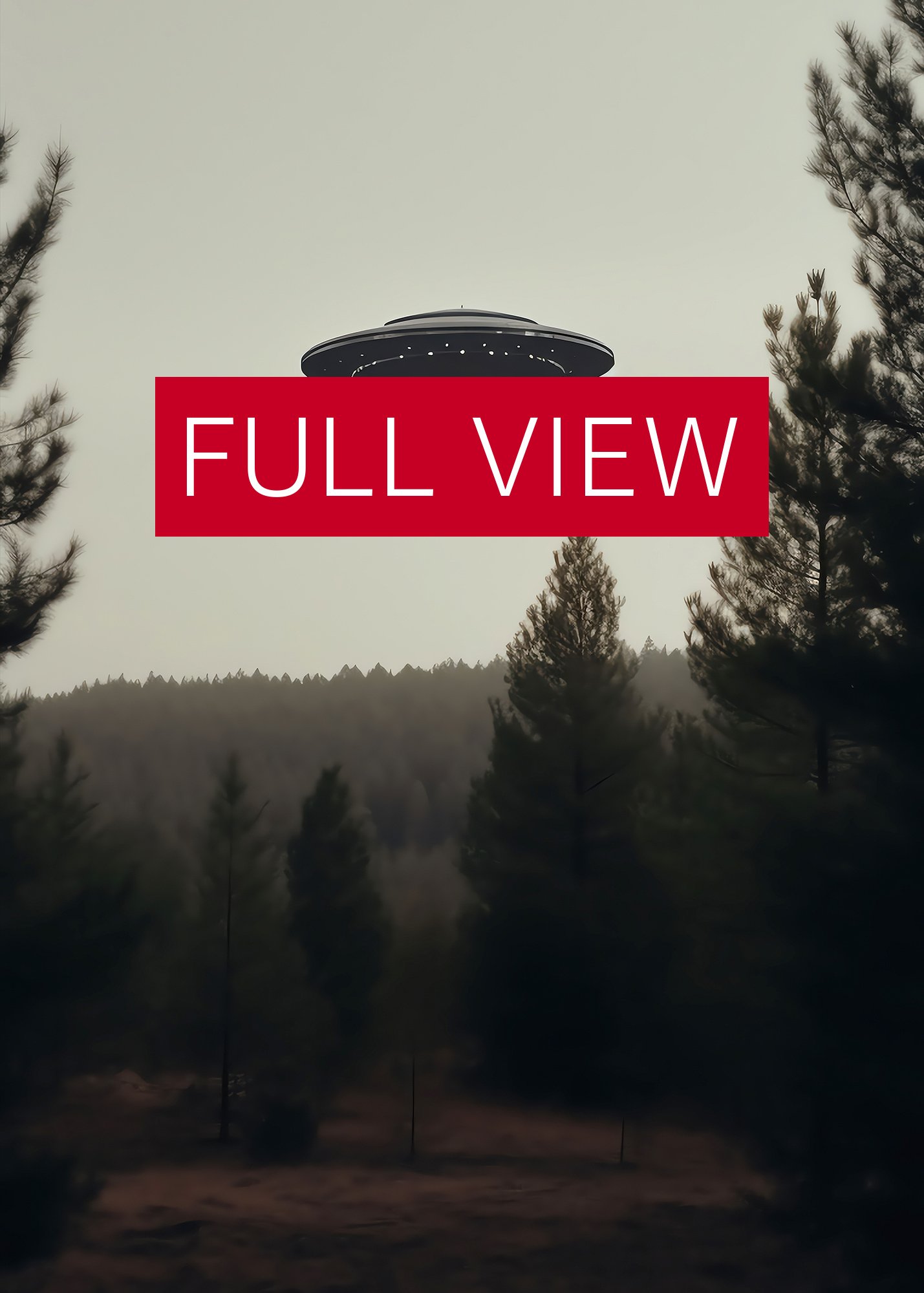 The Truth is Out There / The X-Files photo of UFO — sci-fi poster, movie art, I want to believe poster, space print, aliens wall decor product image (3)