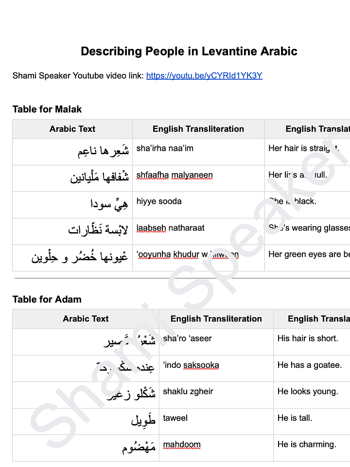 Describing People in Levantine Arabic product image (2)