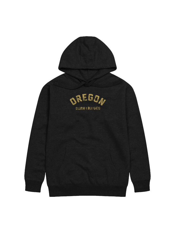 Oregon Born and Raised Hoodie product image (1)