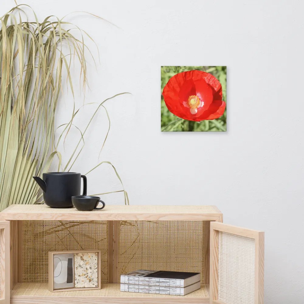 Red Poppy product image (2)