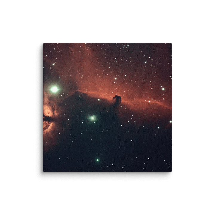 2025 - IC434 by Mark Zdziarski product image (4)