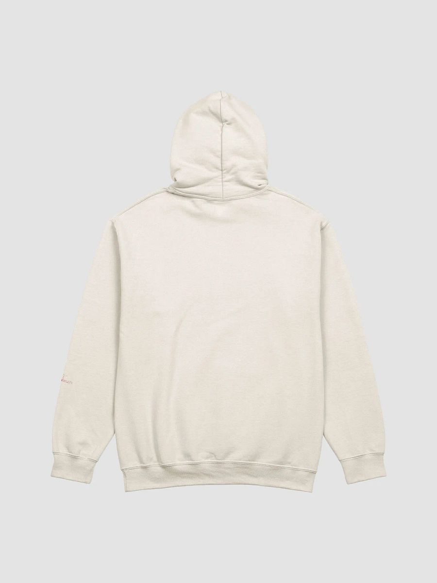 From The River To The Sea - Gildan Classic Hoodie product image (27)
