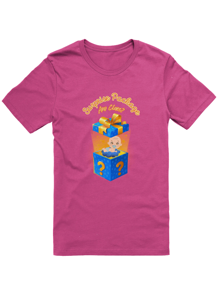 Surprise Package - Any Clues - Baby Announcement T-Shirt, Pregnancy Reveal Shirt, Maternity Tee, New Mom Gift, Gender Neutral product image (8)