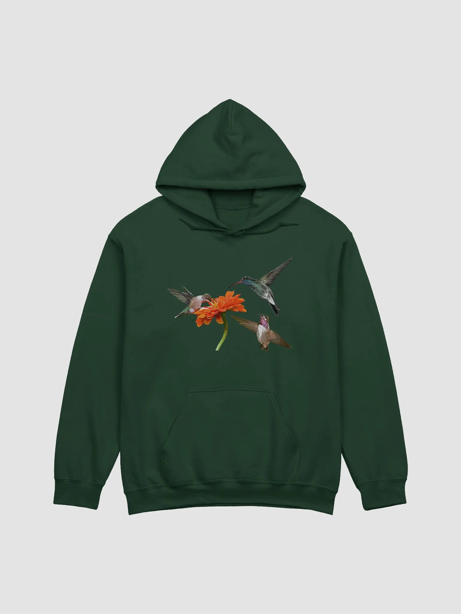 Hummingbirds Hoodie product image (1)