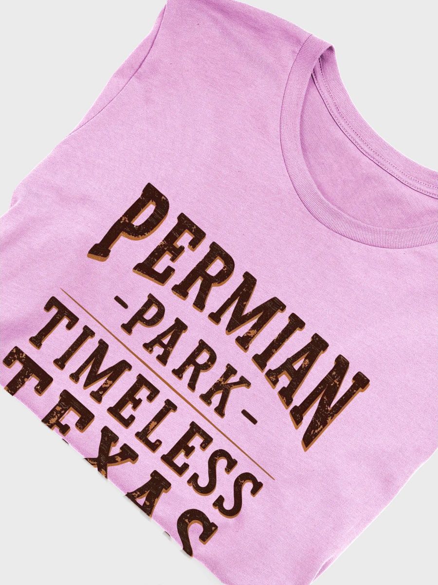 Permian Park Timeless Texas T-Shirt product image (35)