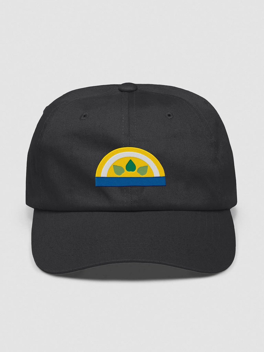 Sun buckle cap product image (2)