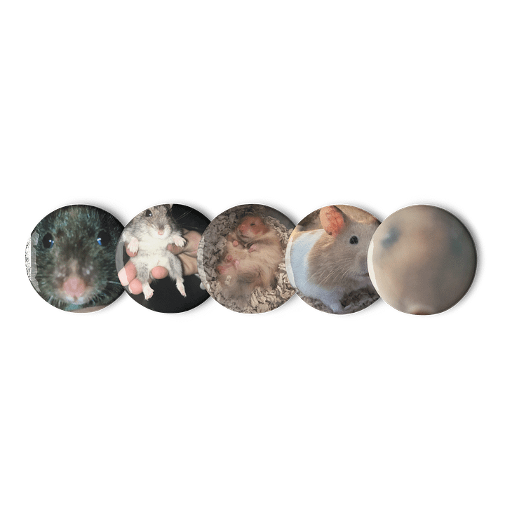 The 5 hamsters (kinda) product image (1)