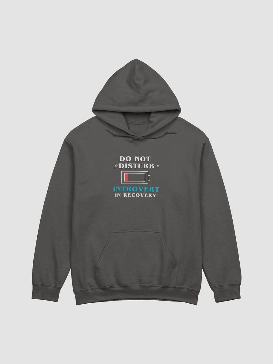 Do Not Disturb: Introvert in Recovery Hoodie product image (9)