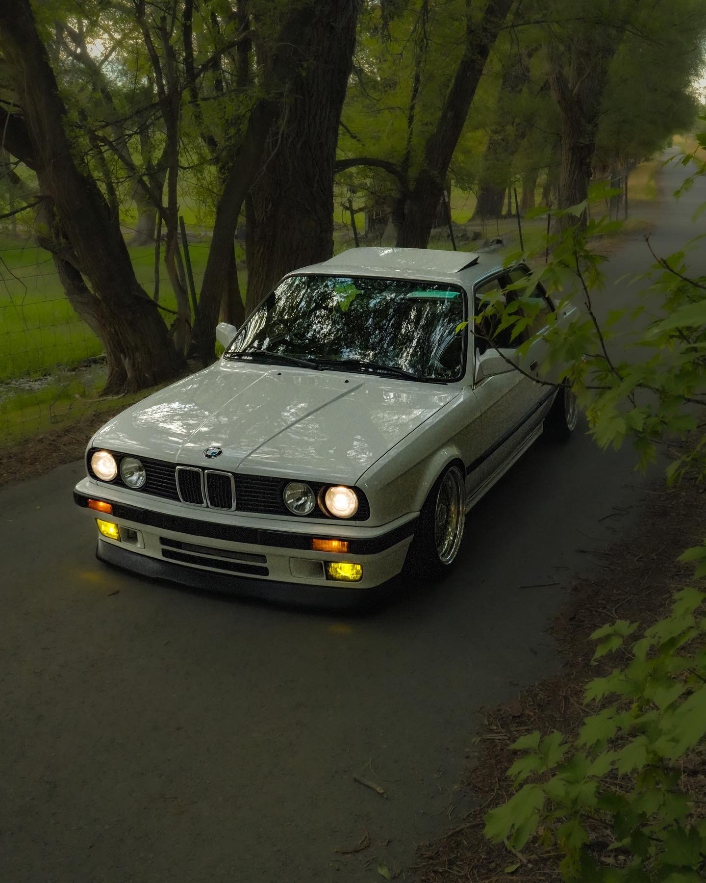 E30 Photo Downloads product image (1)