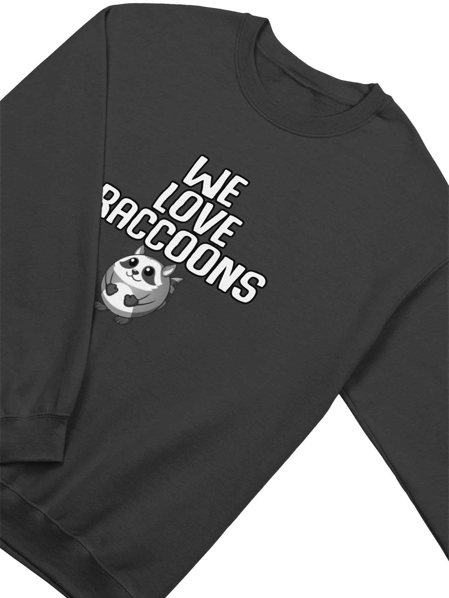 Raccoon Sweater product image (32)