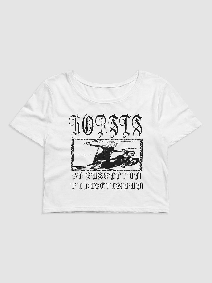 Ad Suceptum Cropped Tee product image (1)