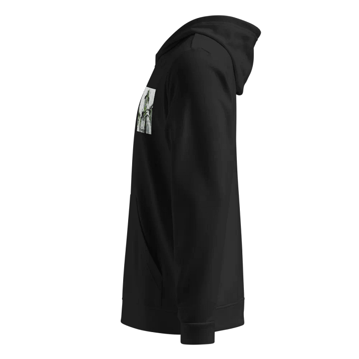 Dez 2.0 Addidas Hoodie product image (2)