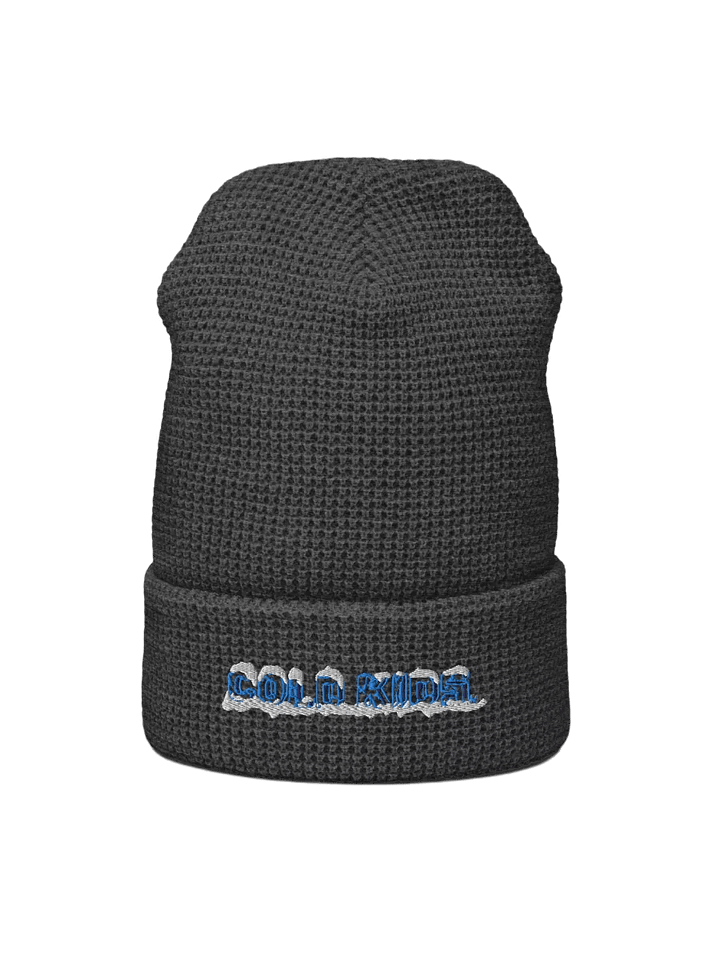 OG Cold Kids Waffle Beanie product image (1)