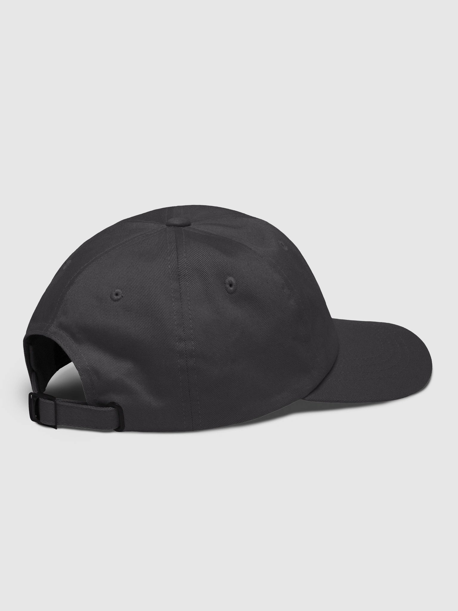 Torii Classic Dad Hat product image (19)