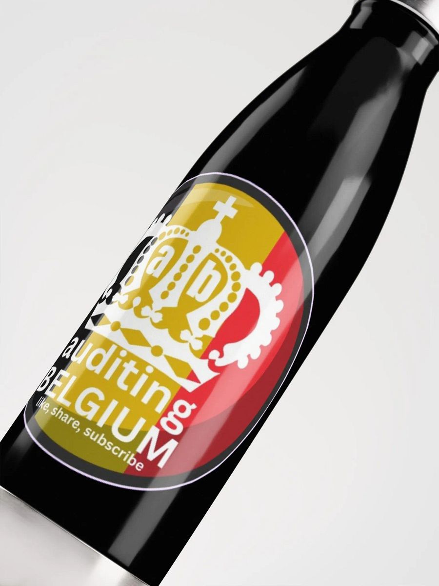 AUDITING BELGIUM product image (9)