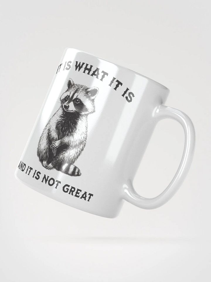 Raccoon It Is What It Is Mug product image (2)