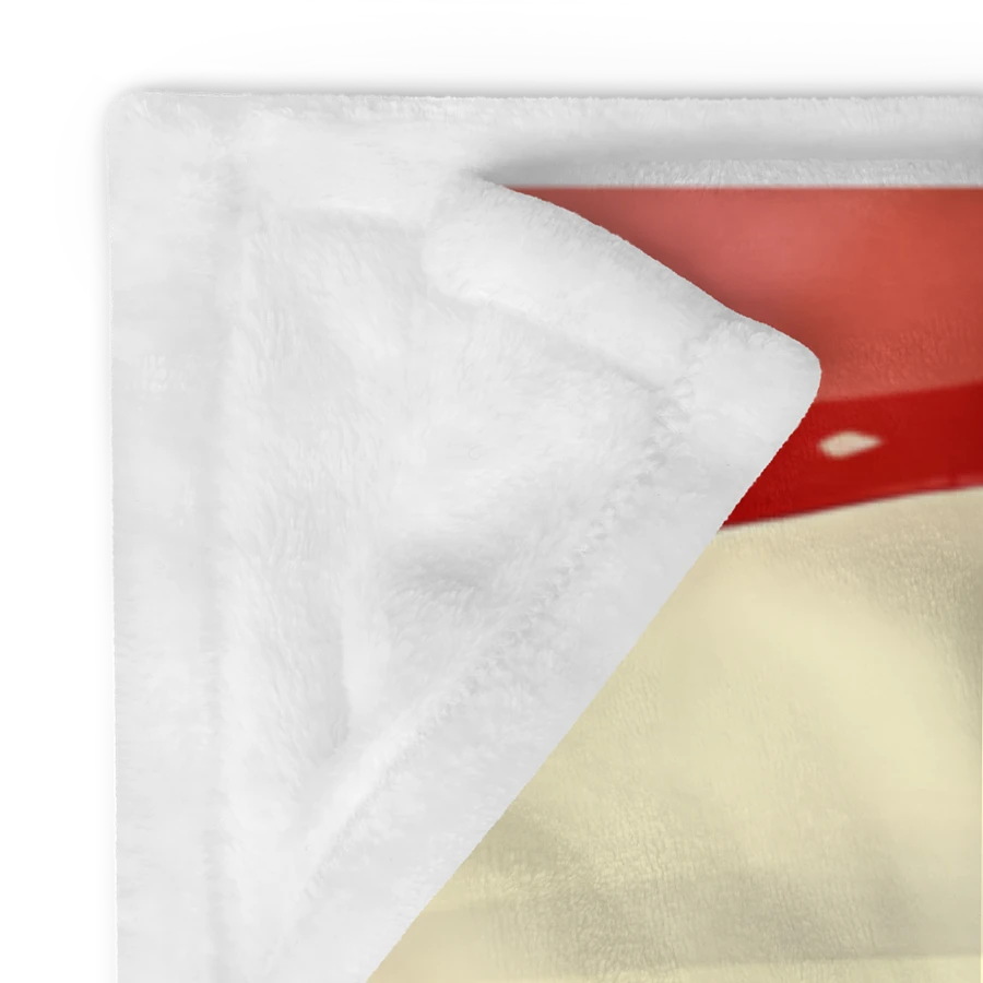 Dryer Steak Throw Blanket product image (7)