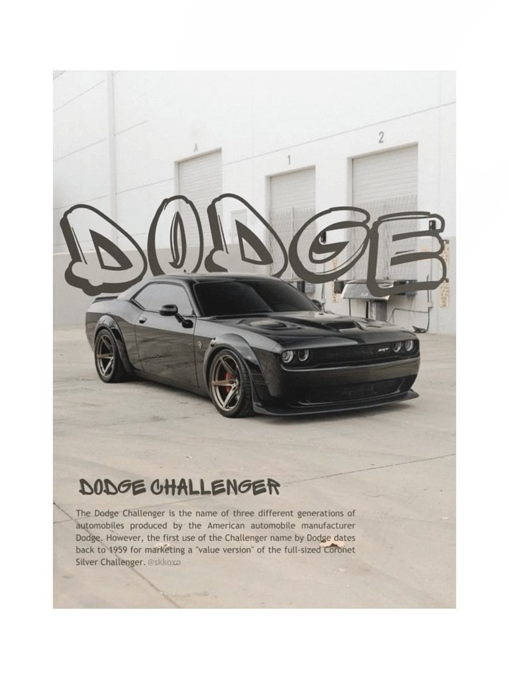 DODGE product image (1)