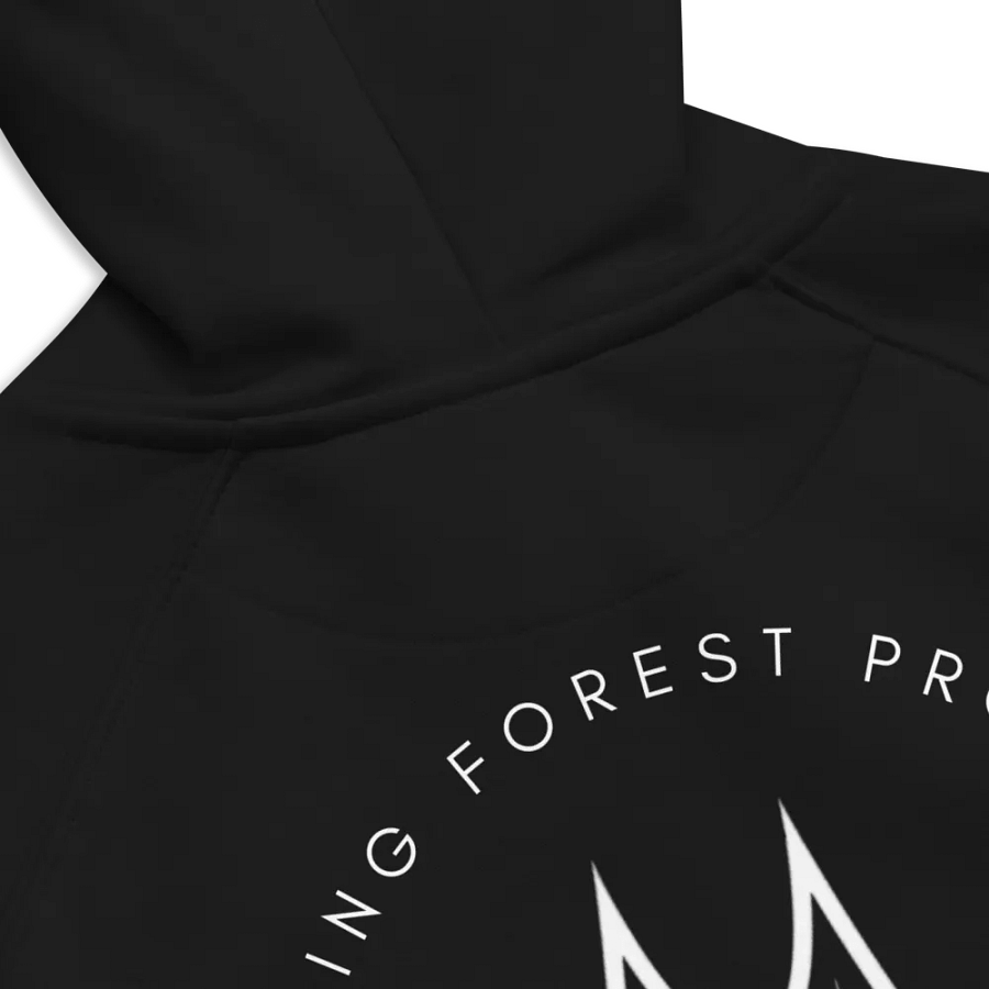 Forest Bridges Fall Colors Hoodies with Greyscale Logo & Emblem on Back product image (10)