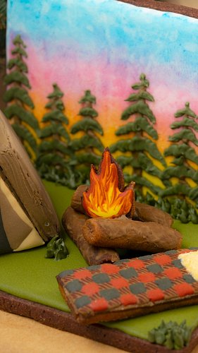 Where's your favorite camping spot? 🏕 

#summercookies #decoratedcookies #watercolorcookies #camping #catskills