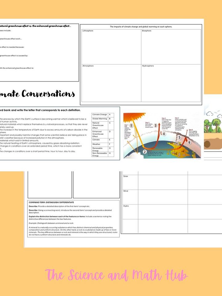 Climate Conversations Graphic Organiser product image (1)