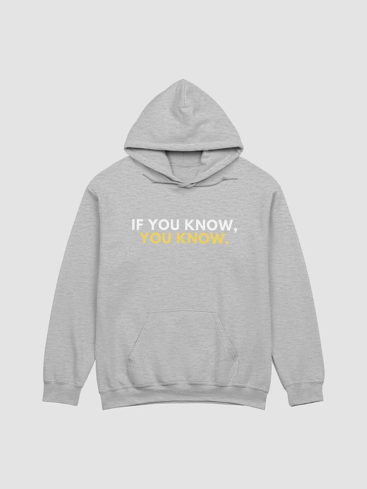 AA Women Not Going Back Sweater in Grey product image (1)