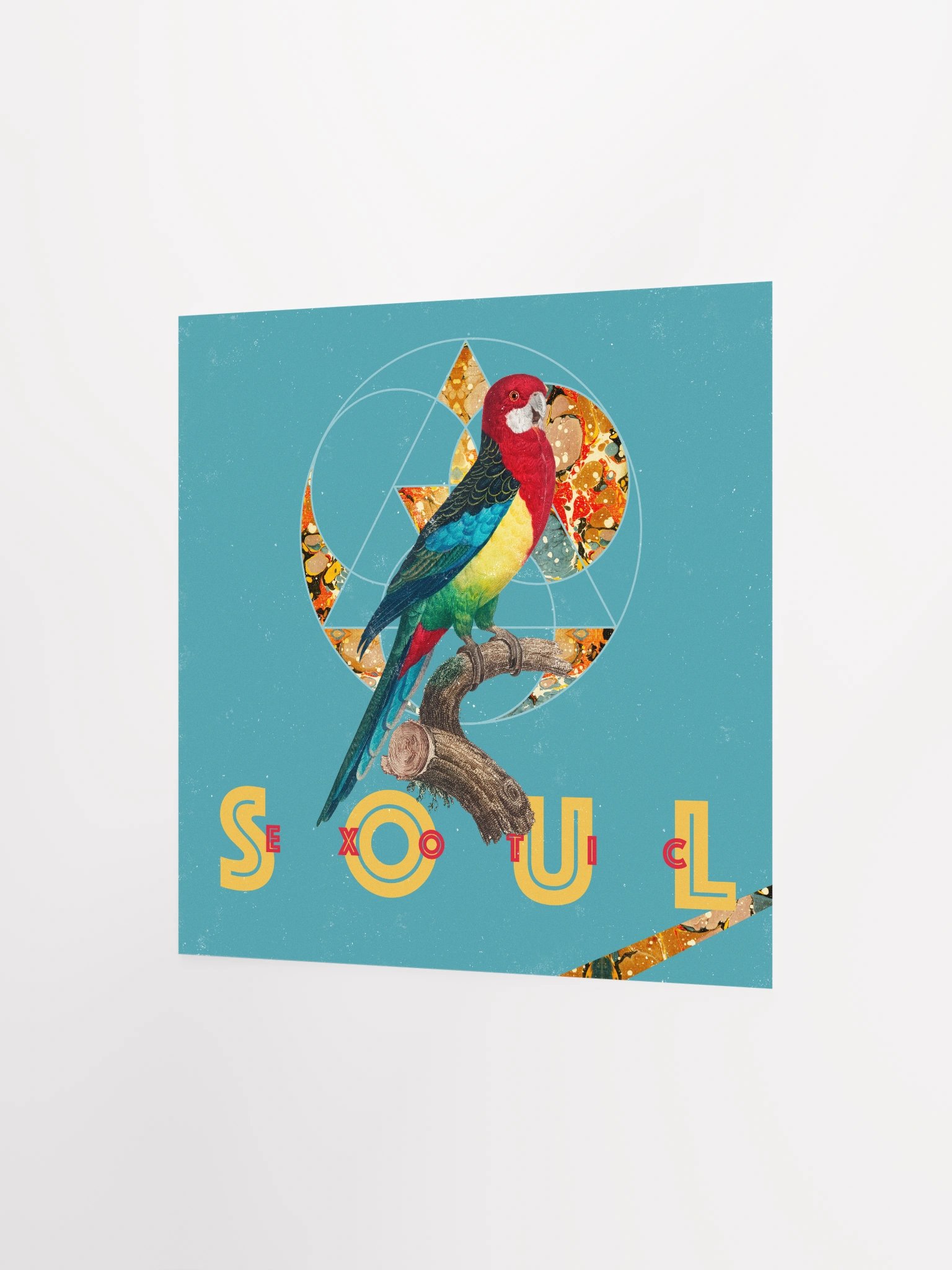 Vibrant Parrot Perch Poster product image (9)